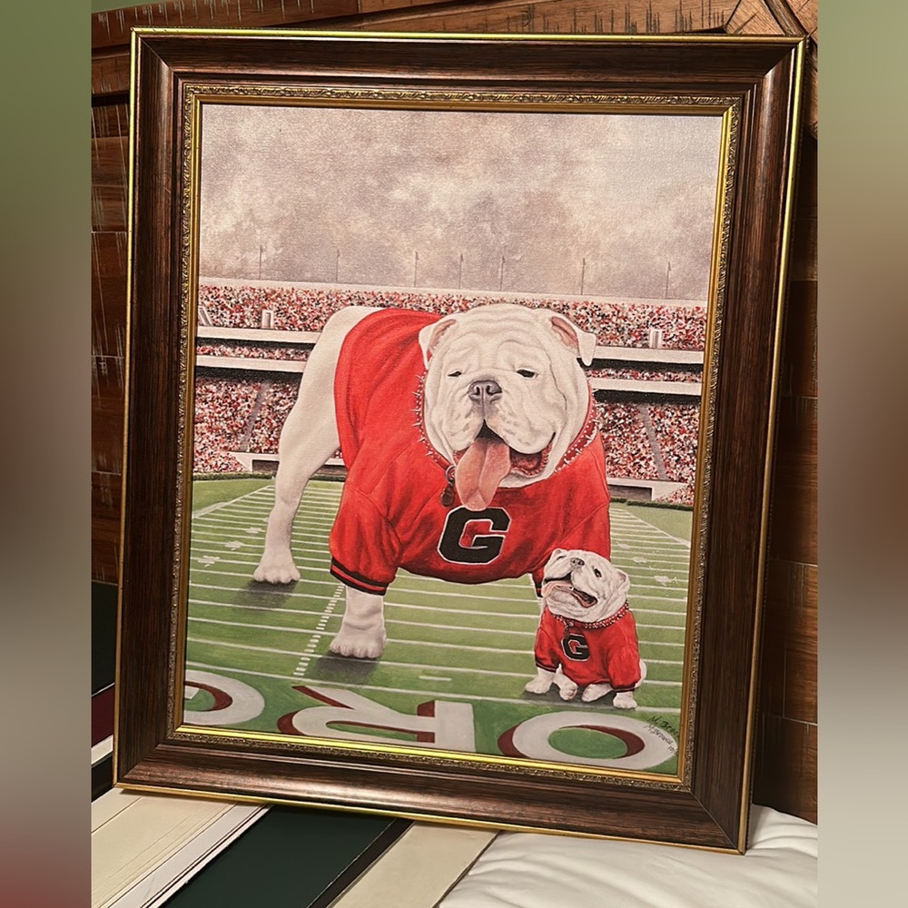 16x20 Bulldog Beauty Canvas Framed